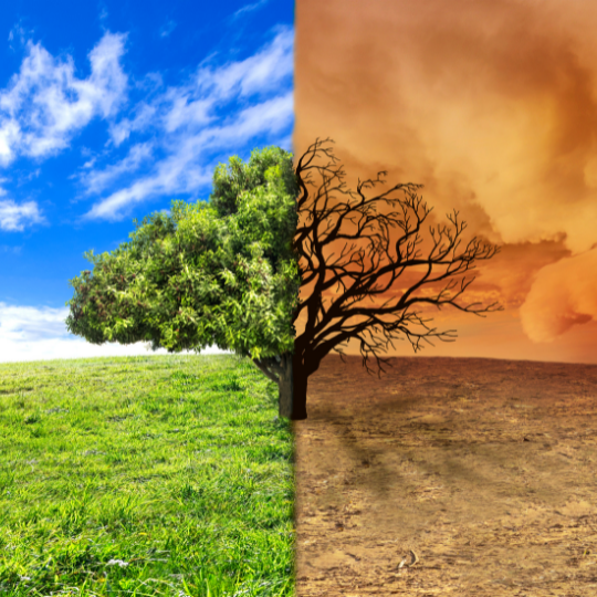 Climate Psychology: A Matter of Life and Death